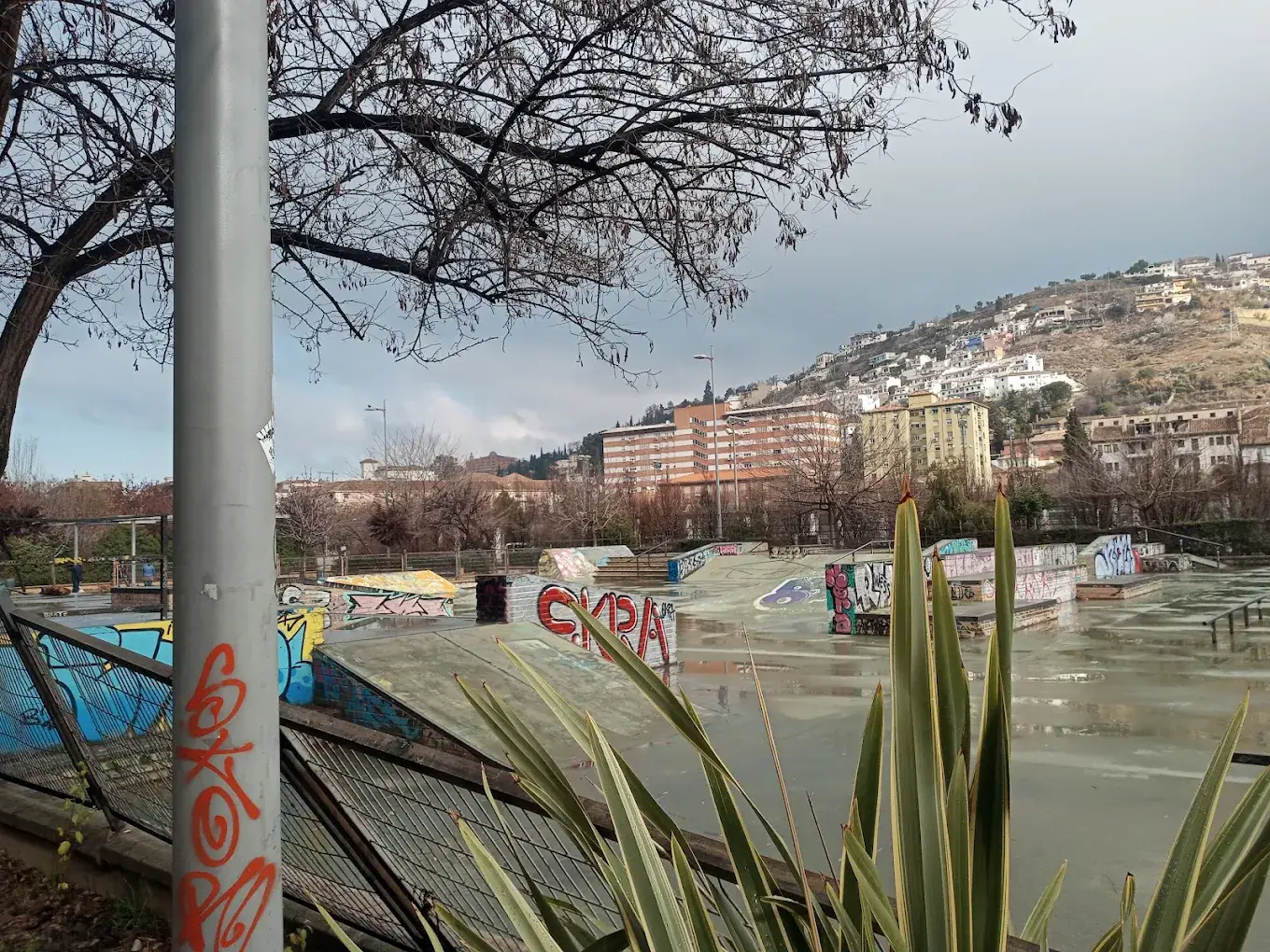 Skatepark Bola de Oro en Granada
